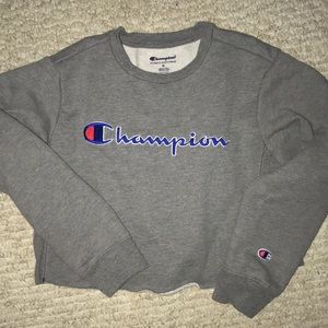 Cropped, medium, Champion sweater.